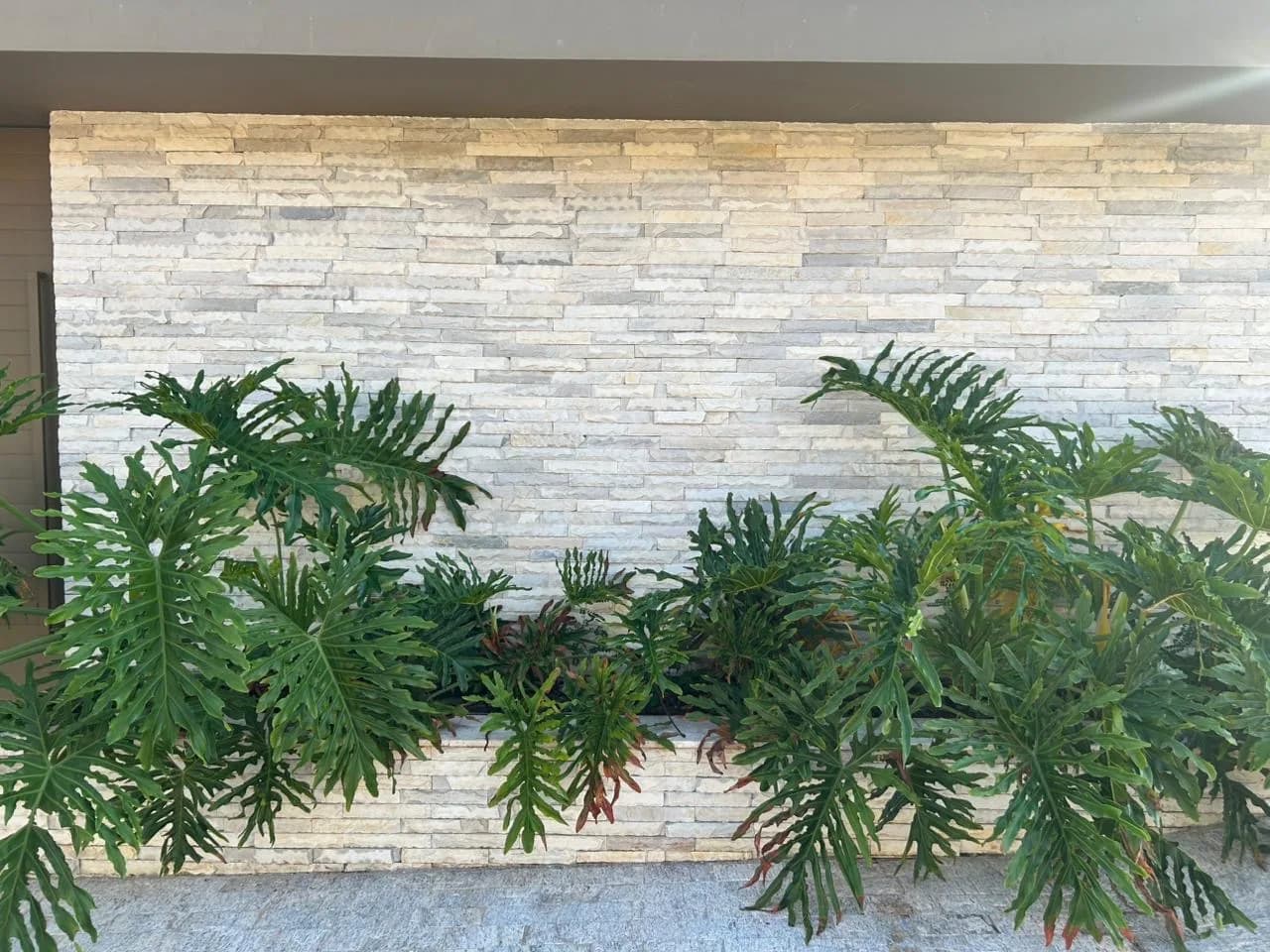 Revestimentos de Paredes